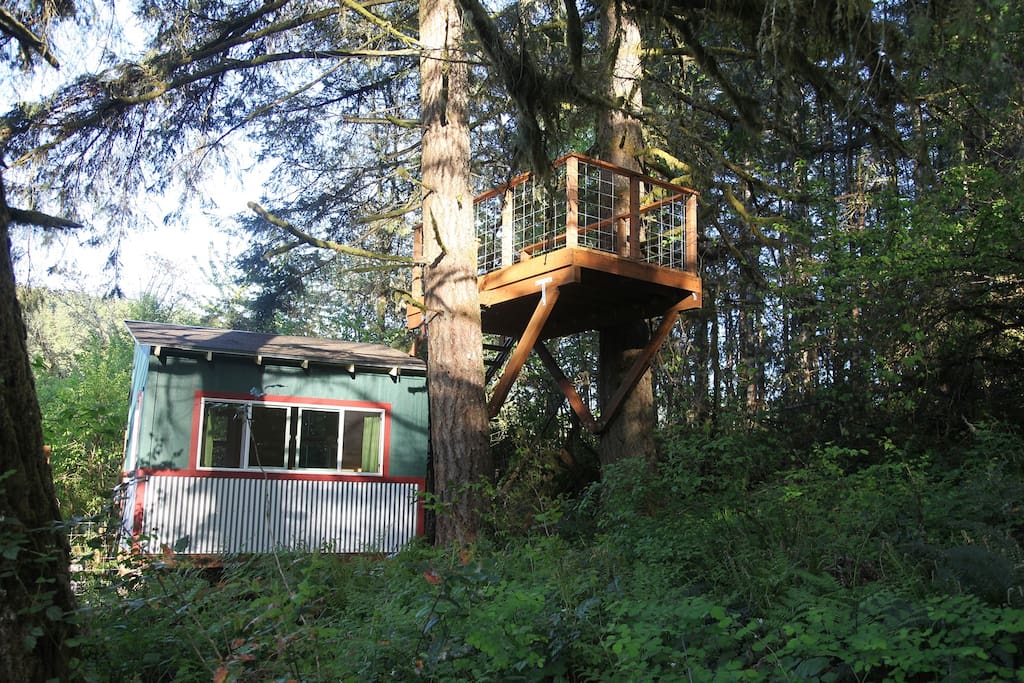 Cottage and tree deck.