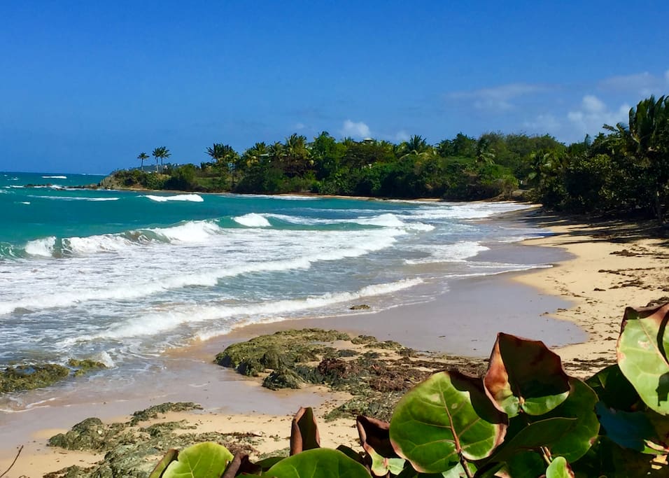 Midday at Playa el Gallito, less than 10-minute walk away!