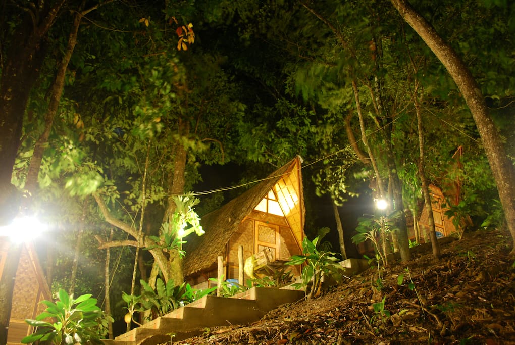 Chalets at Night