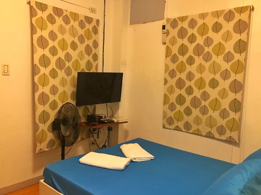 Smart TV with access to Netflix