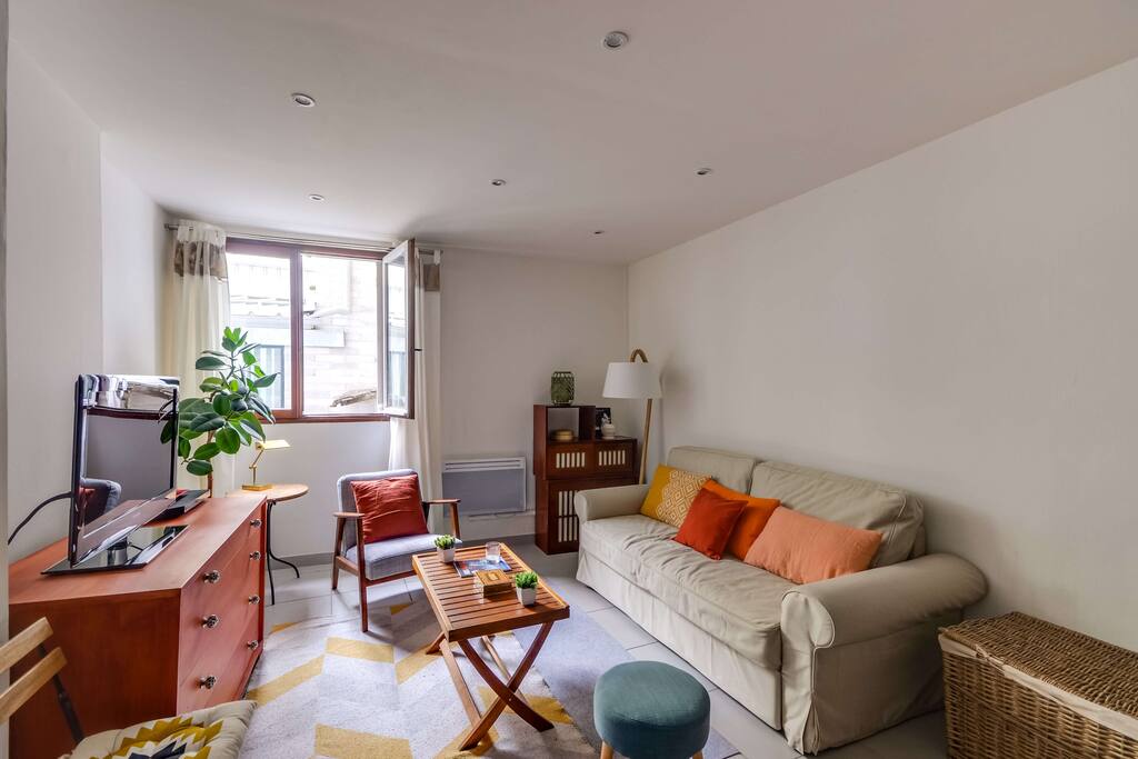 Living room with a sofa bed