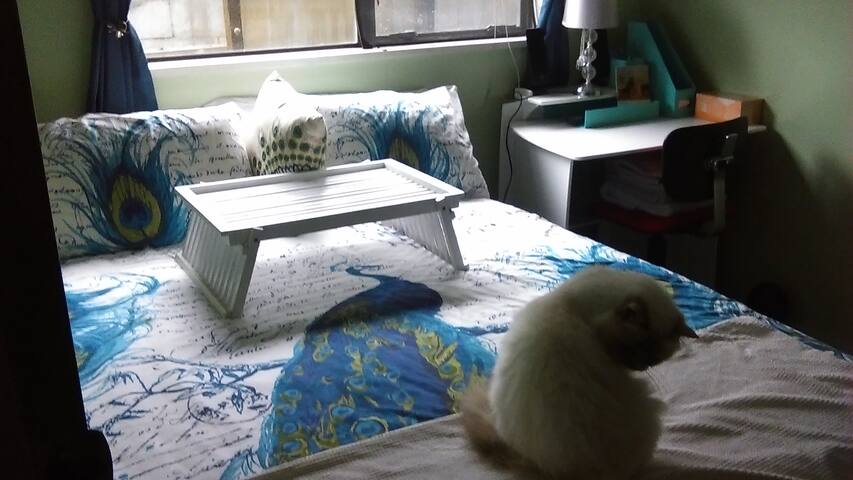 MODERN UNIT close to all amenities