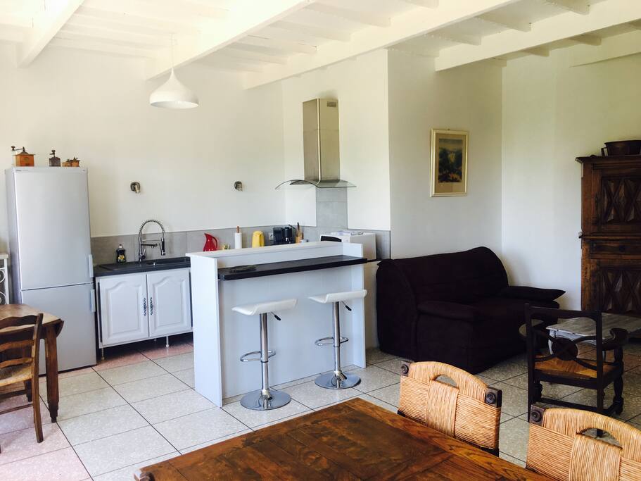 Salon / salle à manger / cuisine