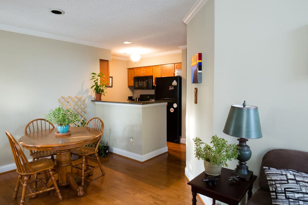 Open kitchen and dining room space.