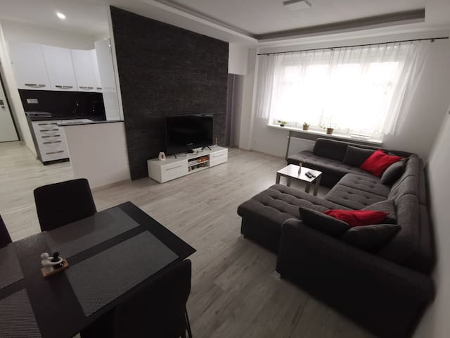 Apartment Karadzicova 15 min to the centre on foot