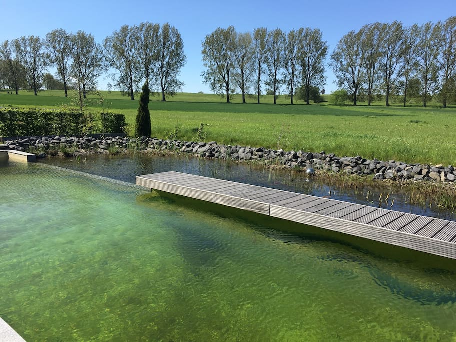 Naturpool