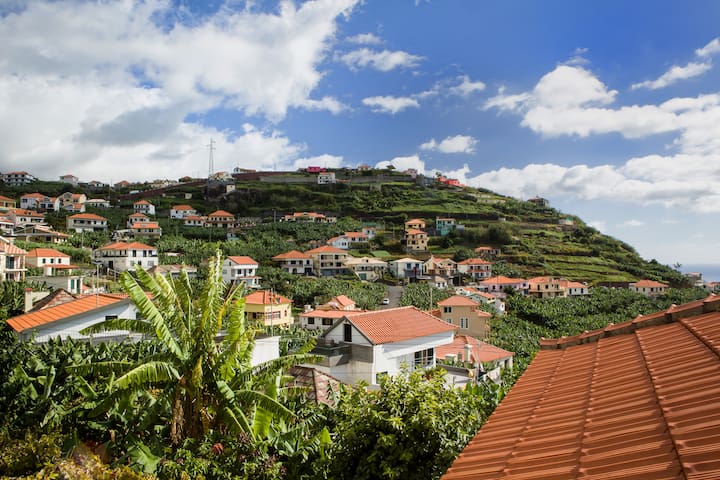 LowCost - Eco Banana House