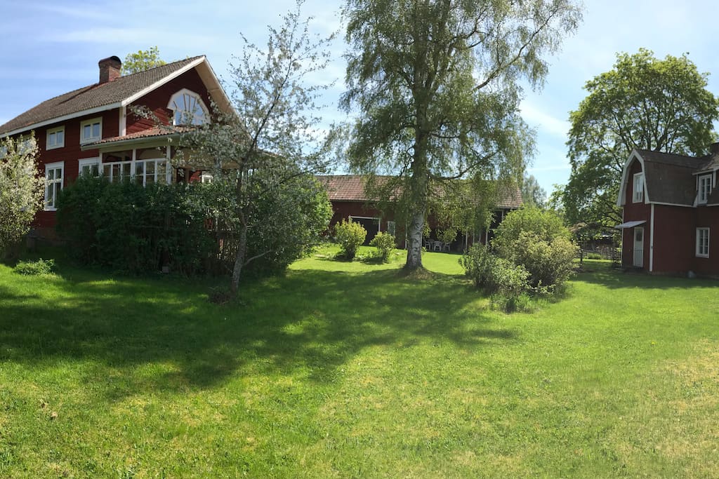 The farmstead in summer