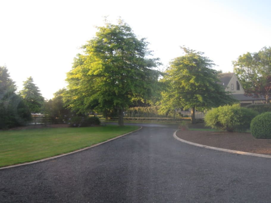 Oak tree lane