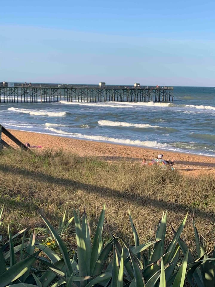 Top 10 PetFriendly In Flagler Beach, Florida Updated
