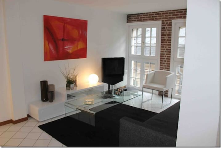 appartement lille ( vieux-lille)
