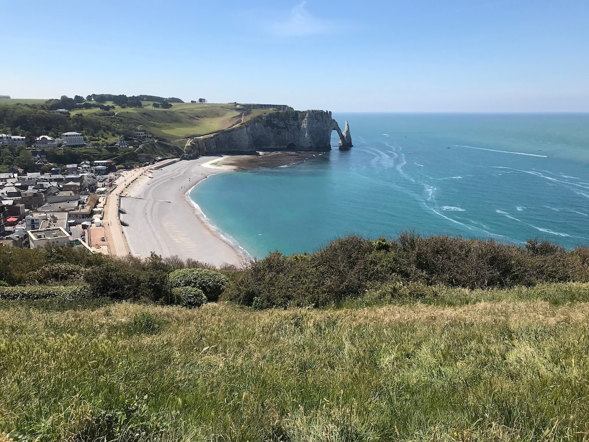 A panoramic view of the coastline features serene blue waters meeting a sandy beach, bordered by rugged cliffs. The lush green grass in the foreground contrasts with the sandy shores and vibrant sea, offering a glimpse of the picturesque landscape along the Normandy coast.