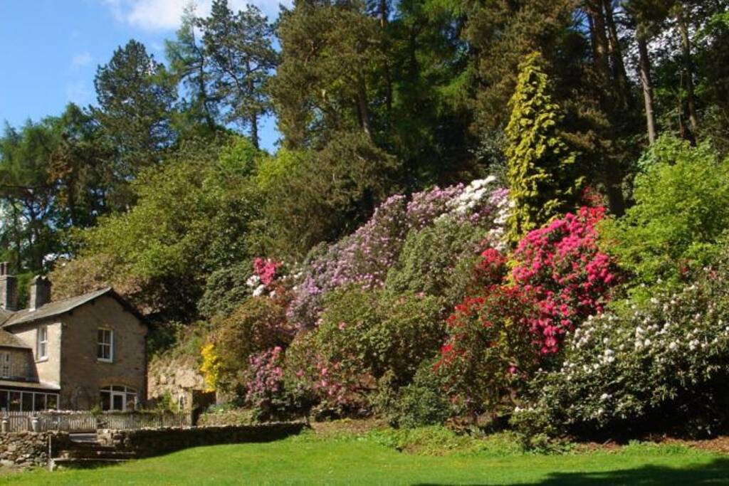 Summer at Littlebank