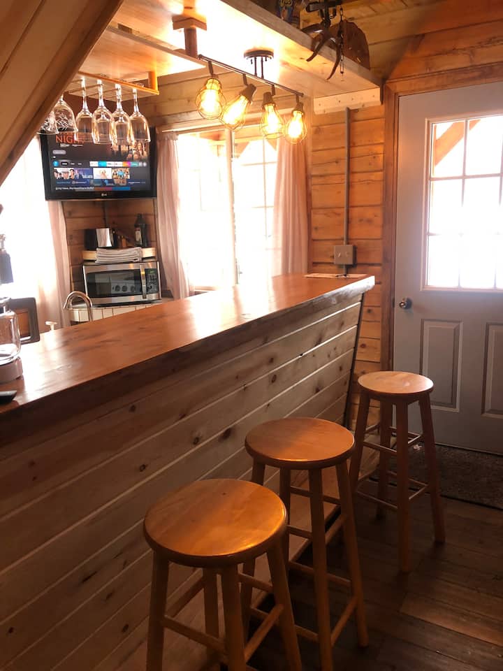 Silver River Cozy Cabin - 密西根