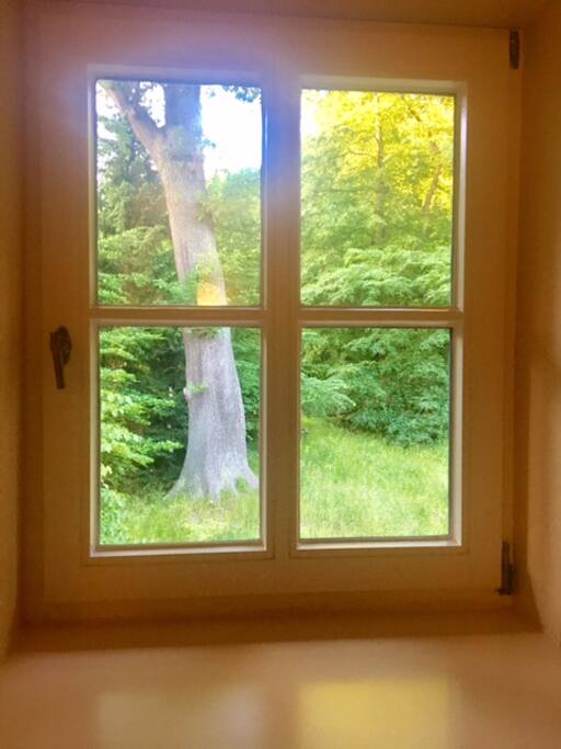 Sicht vom Roten Haus in den Sachsenwald