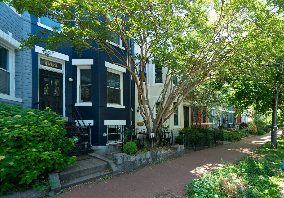 A charming row of houses is lined along a quiet street, framed by lush greenery and vibrant shrubs. The tree-lined walkway leads to a striking black facade, showcasing the entrance with a bold door number. Sunlight filters through the foliage, creating a serene atmosphere.