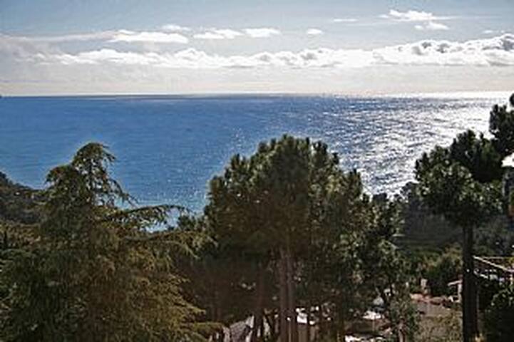 Amazing see views!! gallery image 2