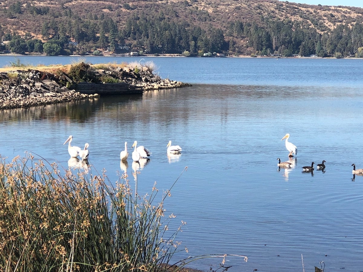 A serene view of Klamath Lake is presented, featuring several white pelicans and smaller ducks floating on the calm water. Grassy vegetation borders the lake, with a distant shore visible under the gentle slopes of surrounding hills.