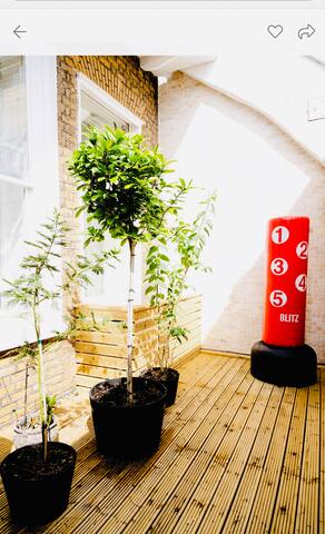 Historic spacious 5 bedroom house off Regent Park gallery image 4