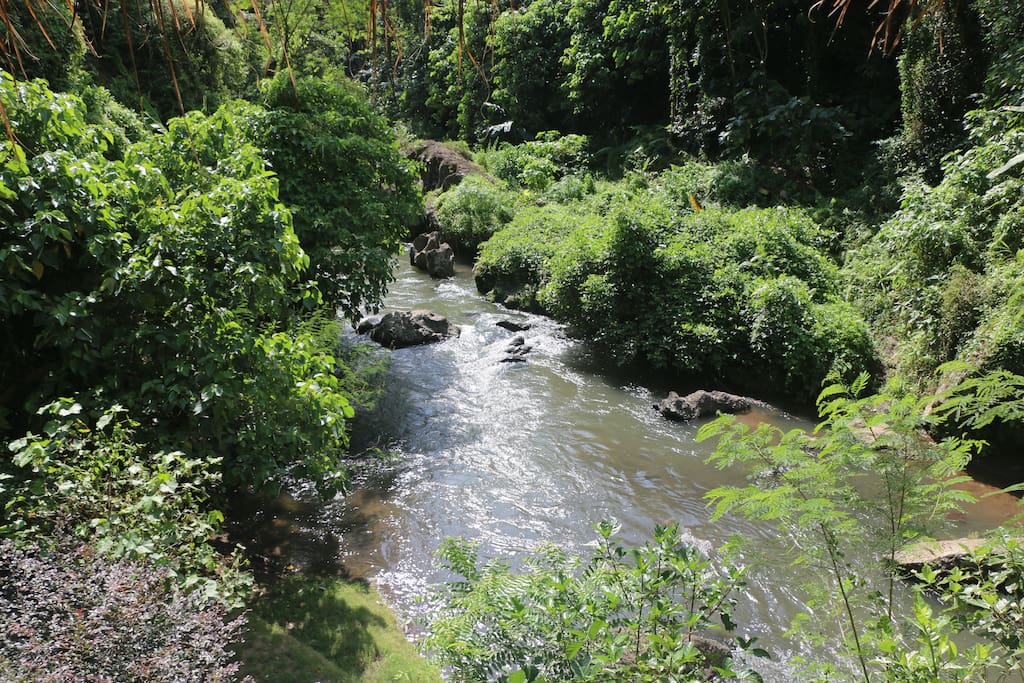 Sacred River Views from our River Houses