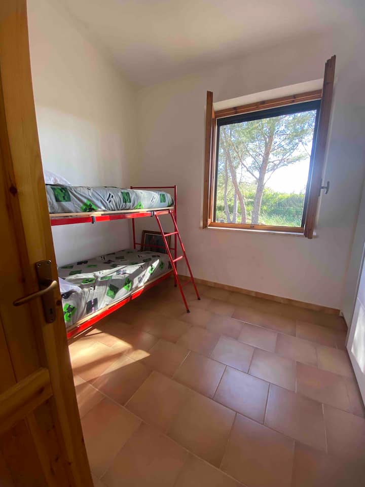 Habitación 1