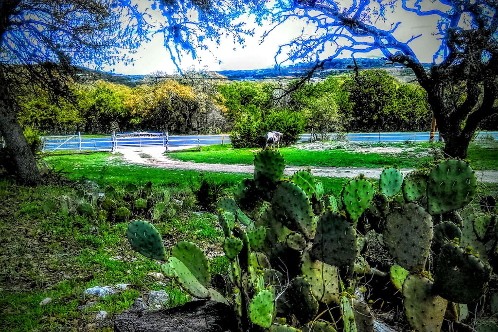 View of the ranch entrance and front gate...and private drive winding up to the Sleeping Porch