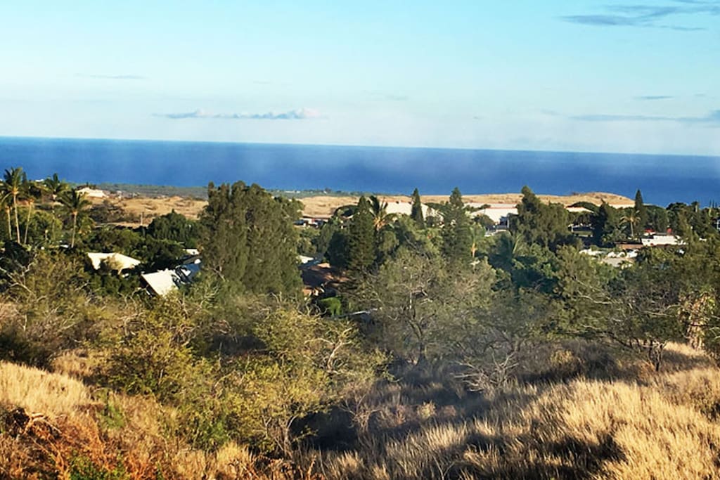PANORAMIC OCEAN VIEW.