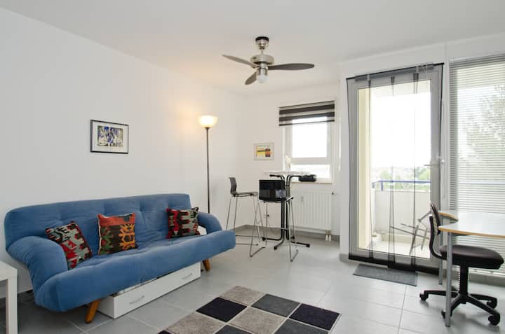 Apartment Overlooking The Rhine - Basilea