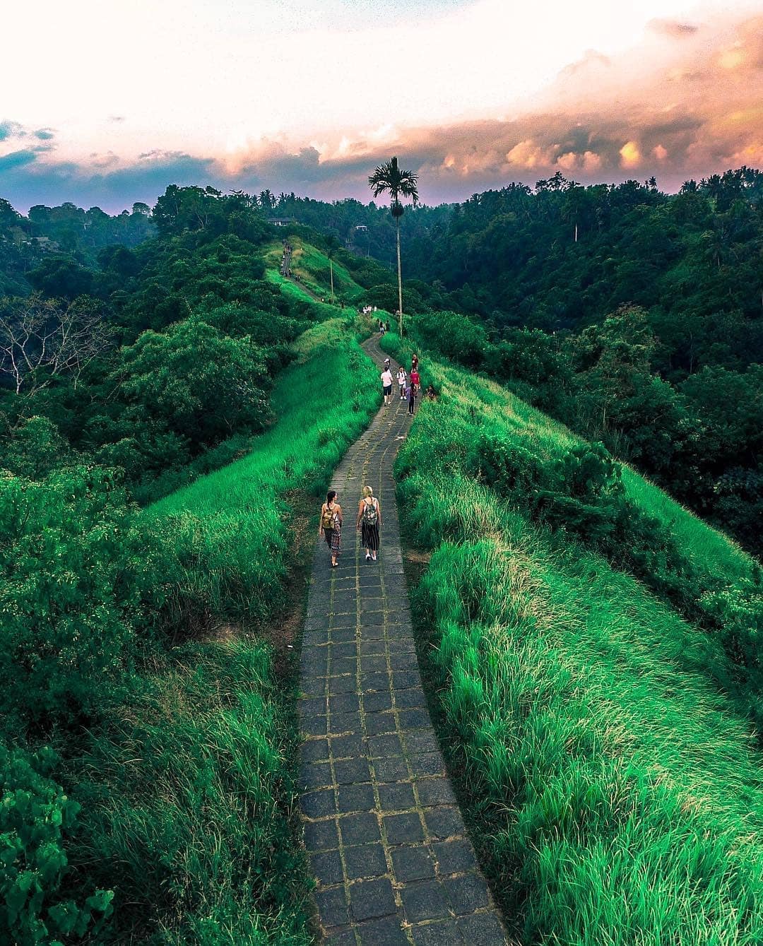 A winding pathway meanders through lush green rice terraces, bordered by tall grass and tropical foliage. Visitors can be seen walking along the trail, while a distant palm tree stands against a vibrant sky transitioning from orange to blue as the sun sets.