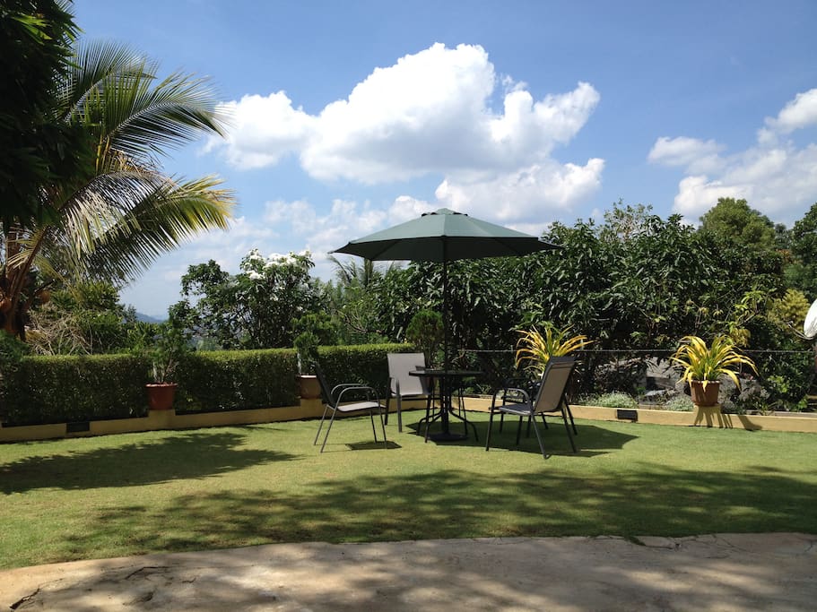 The front garden