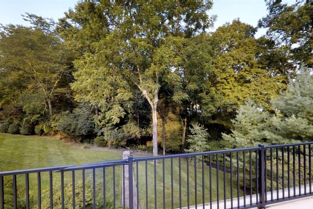 Wooded views
