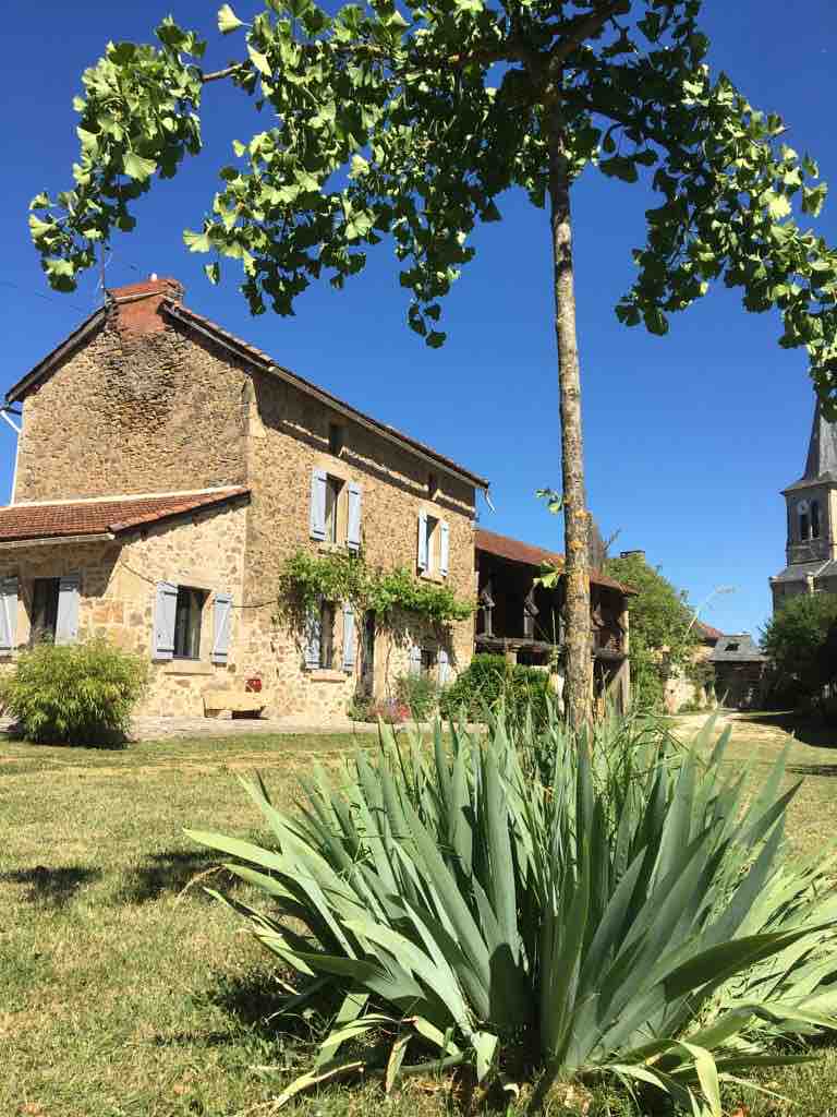 An inviting stone house with rustic charm is set against a clear blue sky. The building features blue-shuttered windows and a welcoming porch, surrounded by well-maintained greenery, including a prominent plant in the foreground and an elegant tree, enhancing the serene countryside setting.