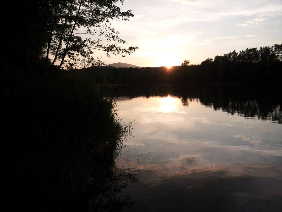 Le Rhône à 200m