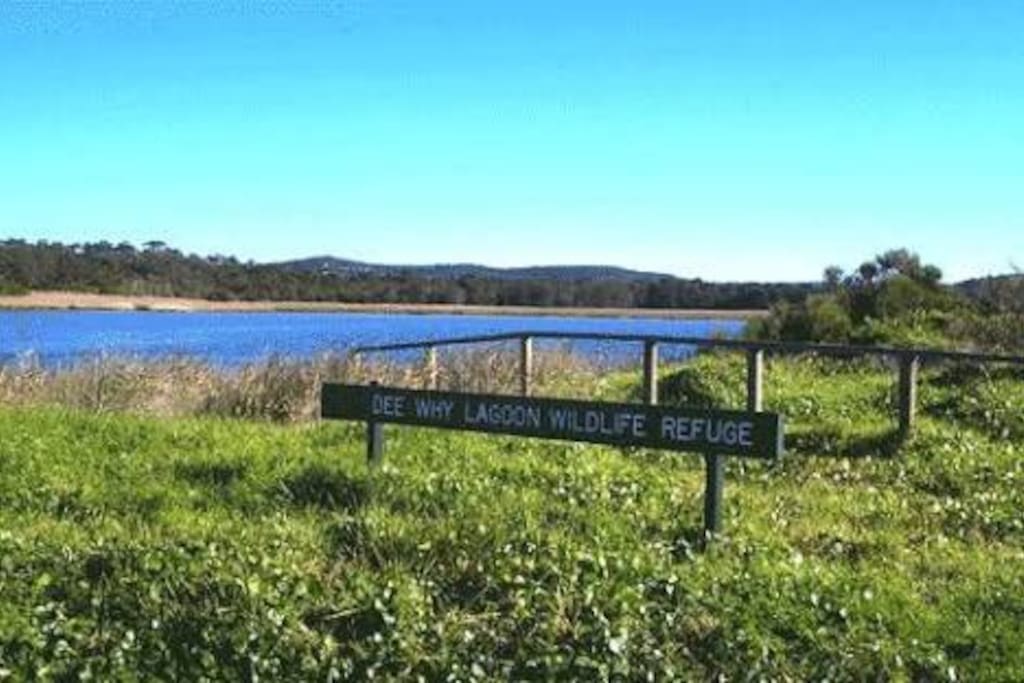 Walking distance to Dee Why lagoon