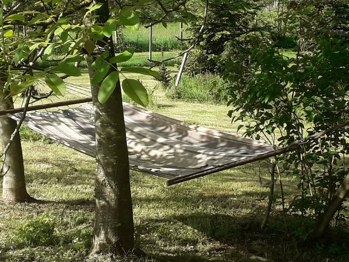 A hammock is suspended between two trees, partially shaded by surrounding foliage. The fabric displays neutral tones and is set against a backdrop of green grass and open fields, offering a peaceful spot for relaxation.