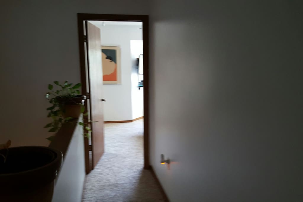 Hallway into your private sanctuary. Please keep the door closed during your stay.