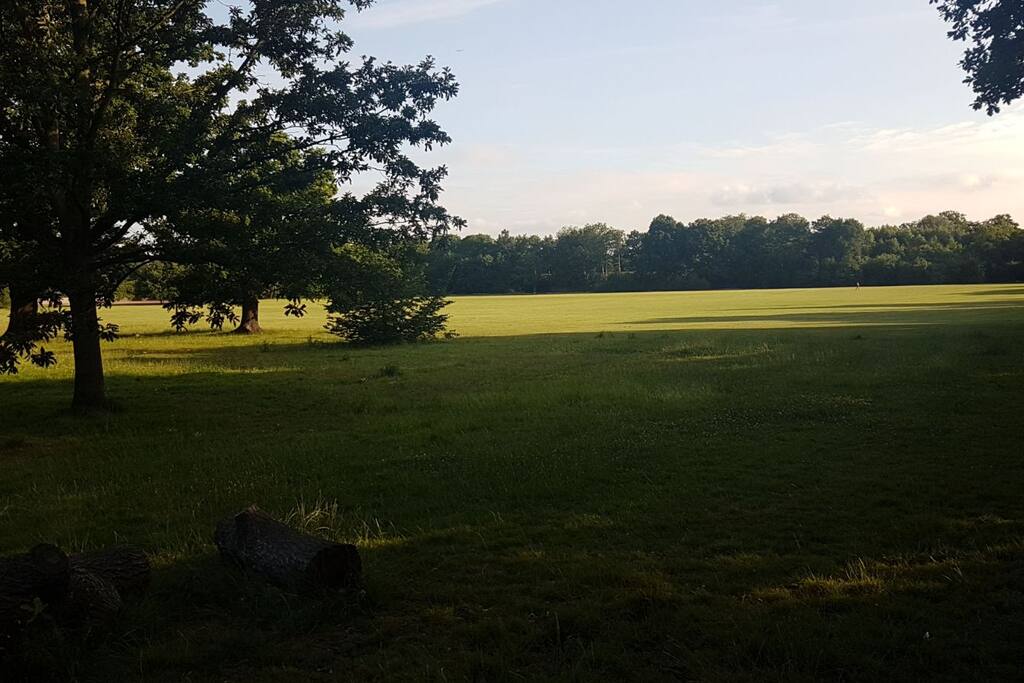 Tooting Bec Common