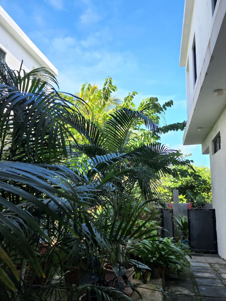 StudioPointe aux cannoniers Apartments for Rent in Grand Baie