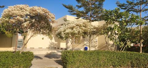 Private Pool Villa #6 #Pushkar #Ajmer 98288863OO