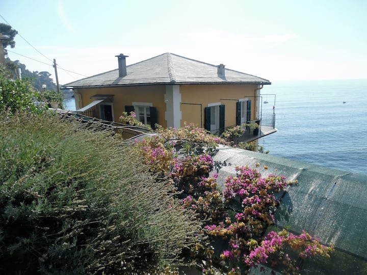 Portofino Holiday Rentals & Homes Liguria, Italy Airbnb