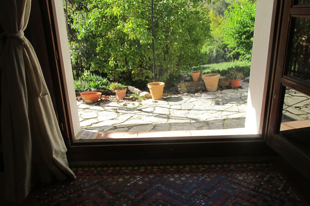 Looking out onto the patio