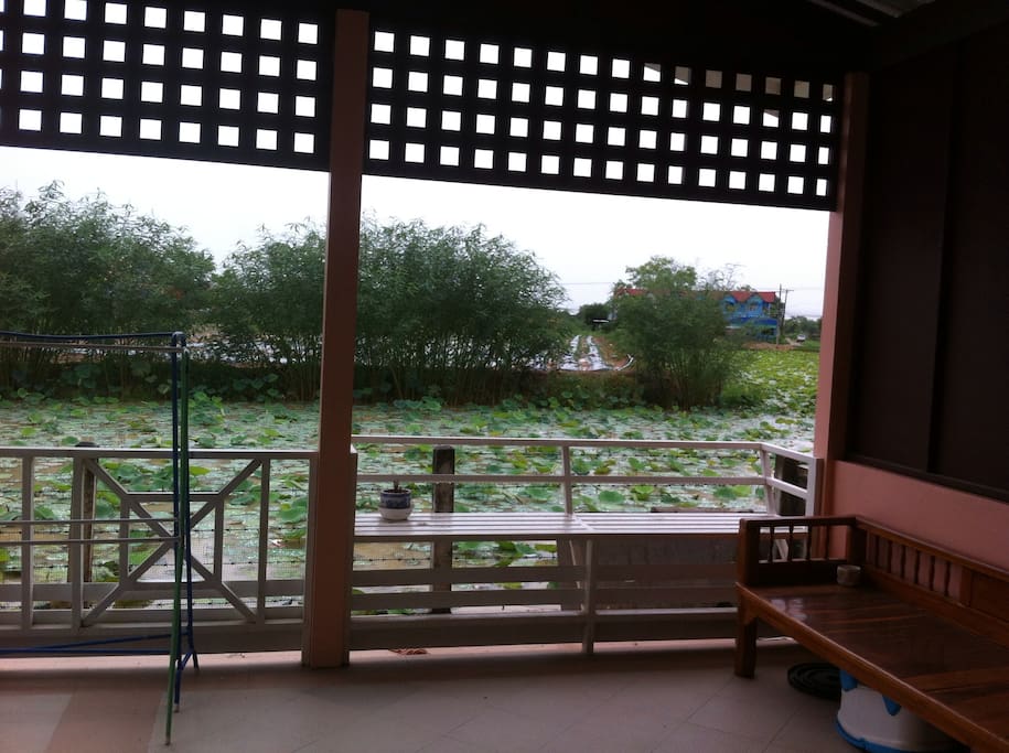 The back of our home is lotus pond.