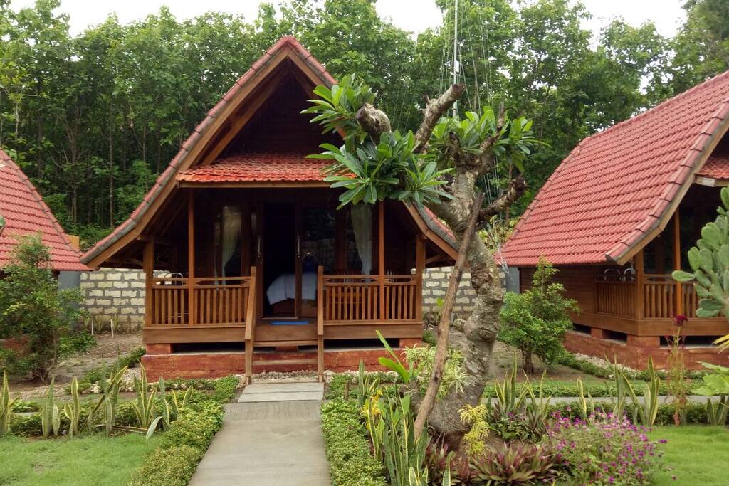 tropical environment home