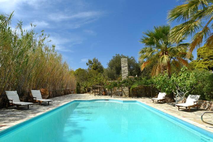 Beautiful 7 Bedroom Villa in Poseidonia, Syros gallery image 3