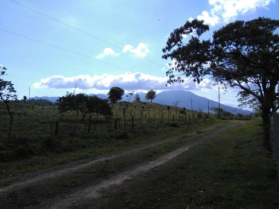 Camino a la casa