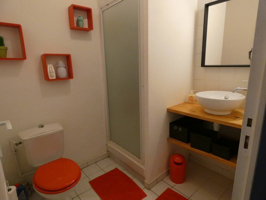 salle de bains douche wc