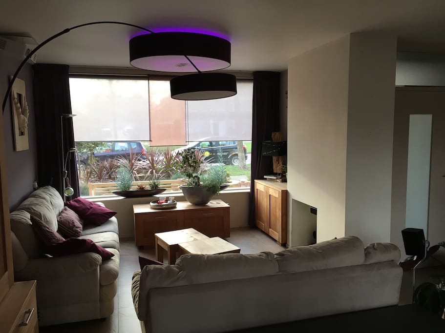 Living with 2- and 3 seat sofa. Beamer for Home Theatre