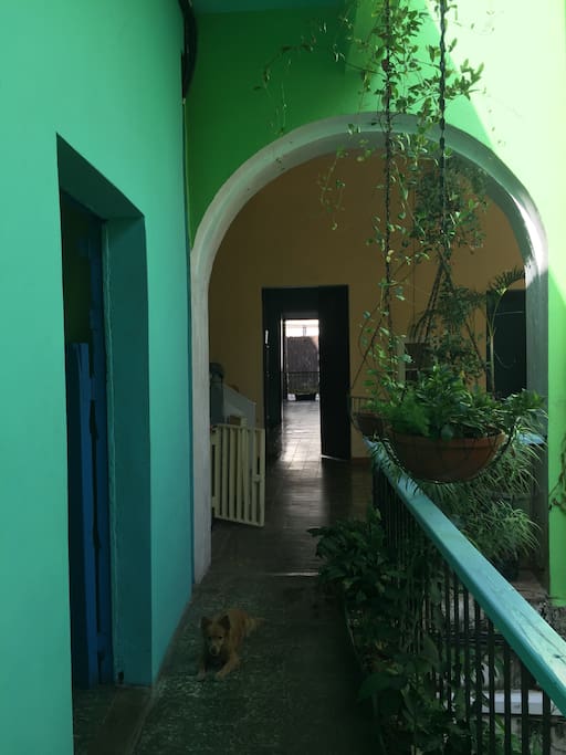 Arches of color from one end of the apartment to the other.