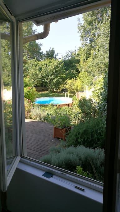 Windows to garden area