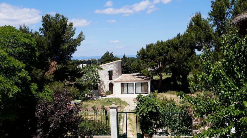 Guest favorite listing in Narbonne
